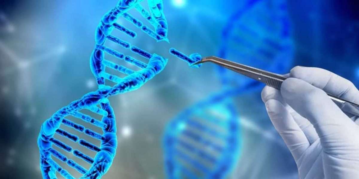 Digital Genome Market Size, Competitors Strategy, Regional Analysis and Forecast by 2031
